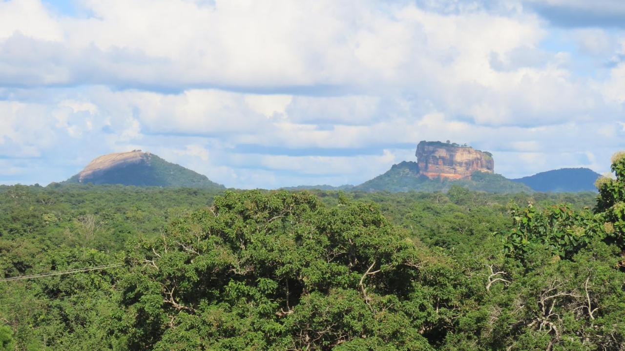 Into The Wild Sigiriya Exterior foto