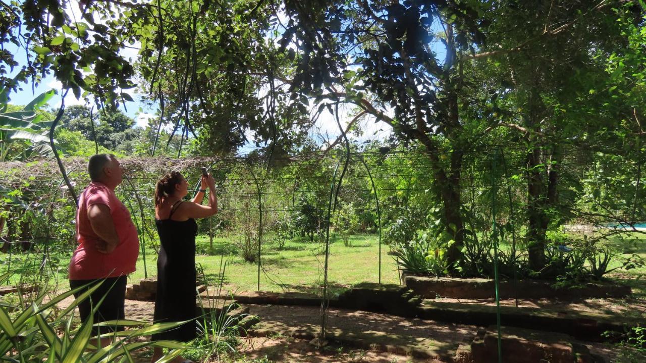 Into The Wild Sigiriya Exterior foto