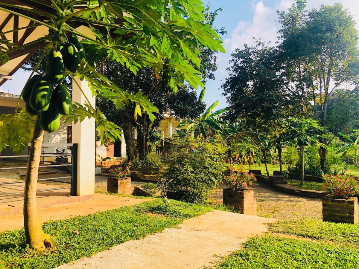 Into The Wild Sigiriya Exterior foto